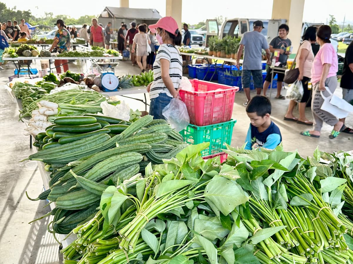 台の上に山積みされた地元の野菜
